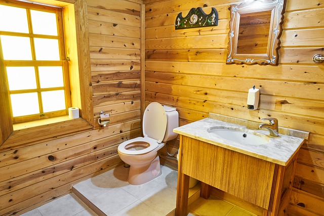 Why a Handyman is the Best Option for Replacing Your Toilet