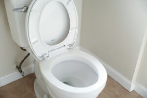 Comprehensive Guide on How to Repair or Install a Toilet